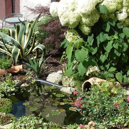 Haus Am Sonnenhang 公寓